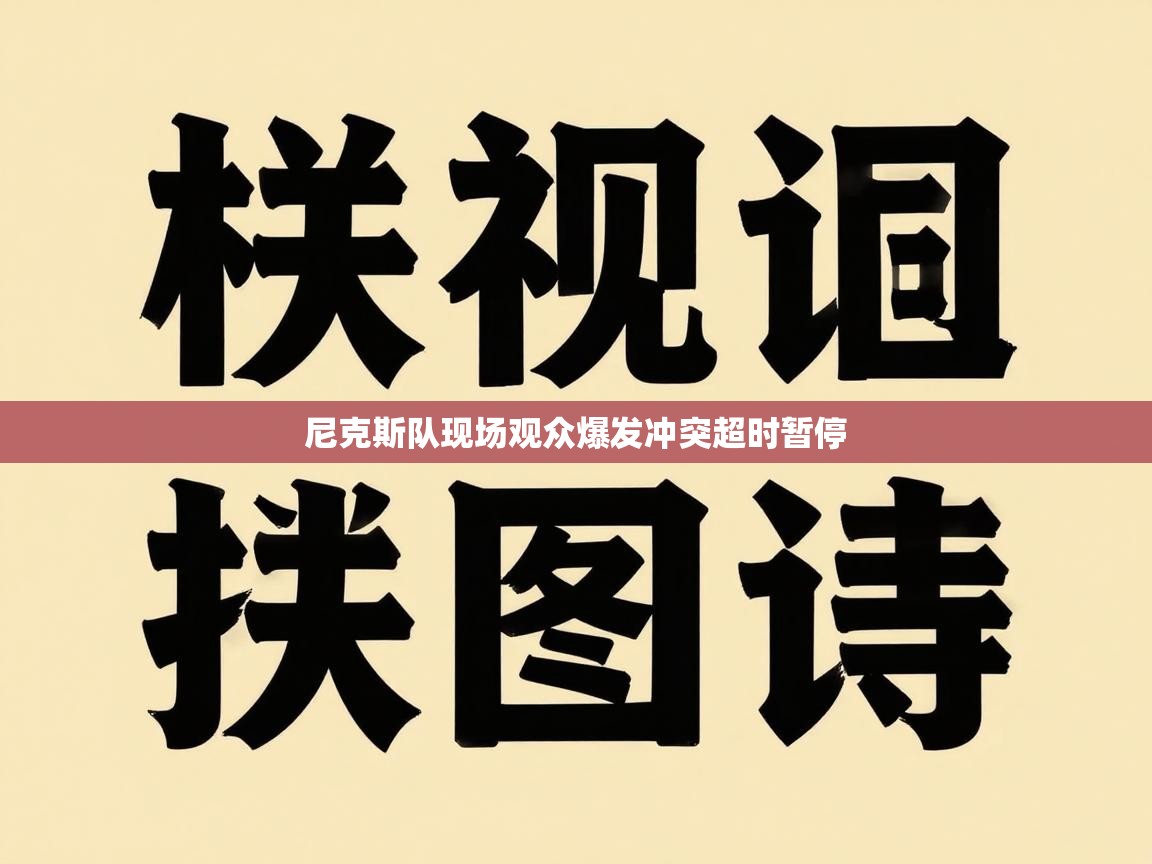 尼克斯队现场观众爆发冲突超时暂停  第2张