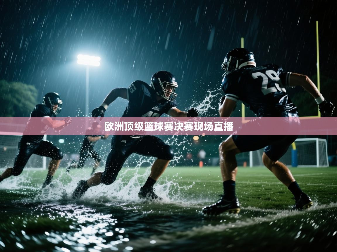 欧洲顶级篮球赛决赛现场直播  第1张